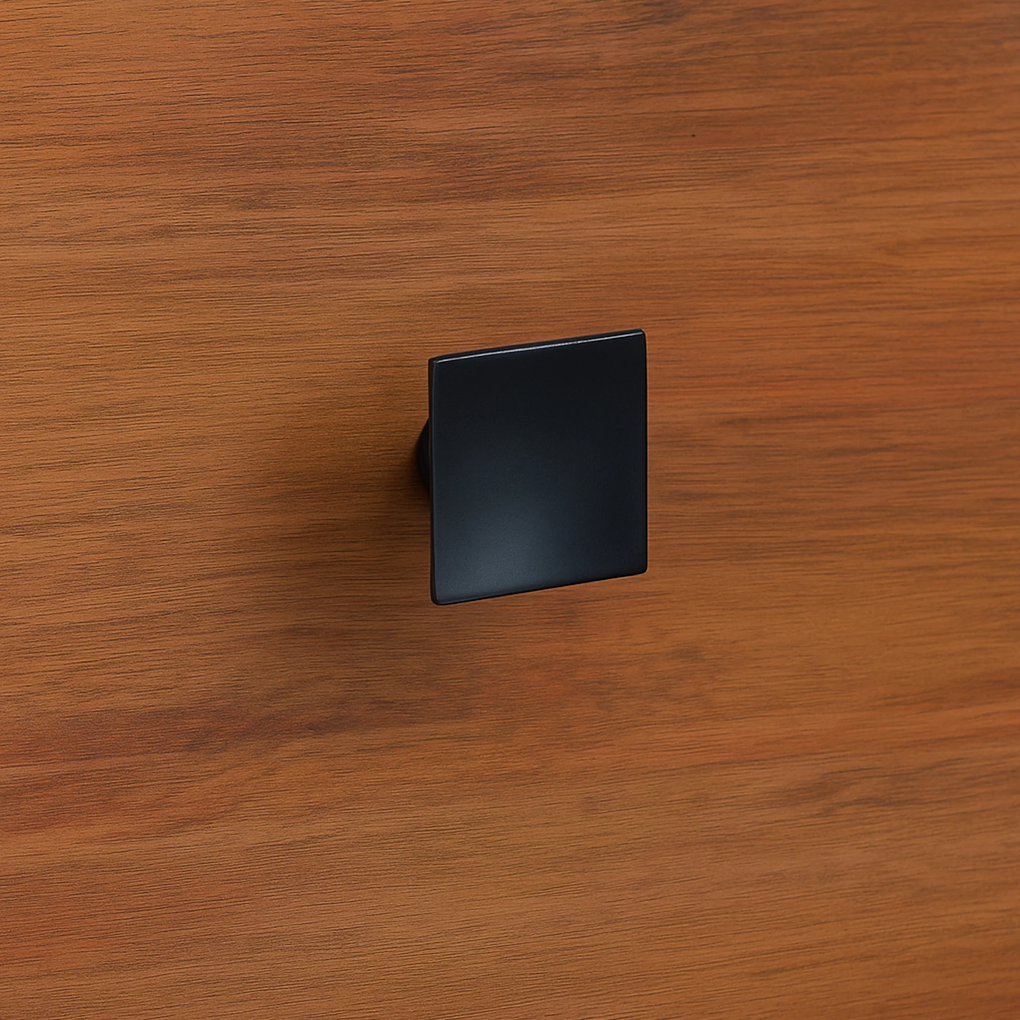 Dunstan Acacia 2 Door Cupboard - Image 6
